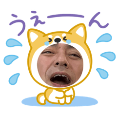 SHO_20250413214952