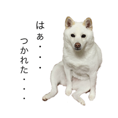 mah_20250414000405