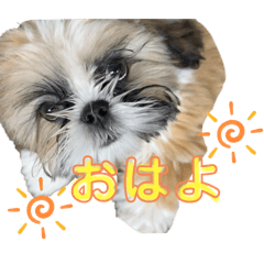 moe_20250414002759