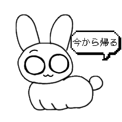 piyo_20250412184002