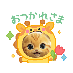 jun_20250412212746