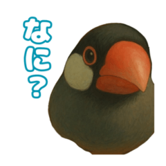 Two Java Sparrows Stamp (Bun & Mero)