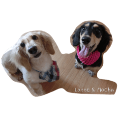 DOOOOG - MOCHA & LATTE