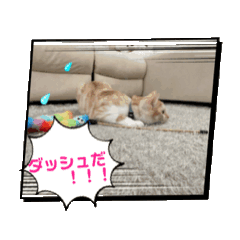 moco_20250413184207