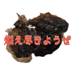 hiro_20250413195216