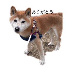 aiueo_20250413200146