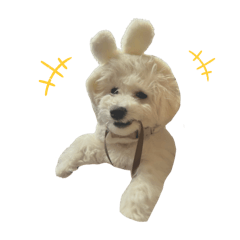 pupu_20250413225802