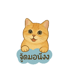 chamil_20250409011454