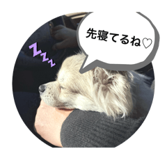 nagi_20250414093905