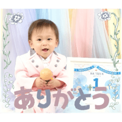 taro_20250413205949