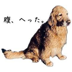 anpon_20250413210651