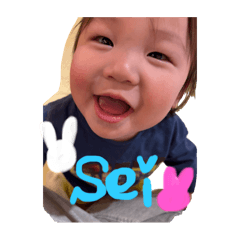 sei_20250414005733