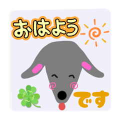 Minako_20250413215157