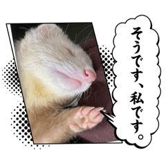 momo_20250413215755