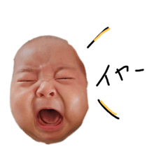 yamaco official_20250414011213