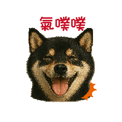 I like dogs so much!