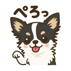 kk_20250413085546