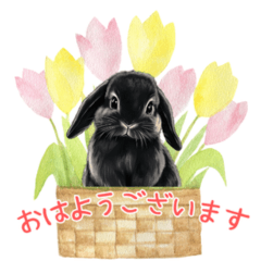 Bunny Sticker for everyday use2