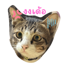 Mao_2025