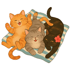Cat's Me_20250409125036