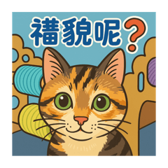 About Four Cats
