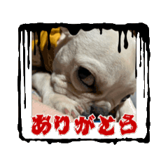 sachiko_20250413182309
