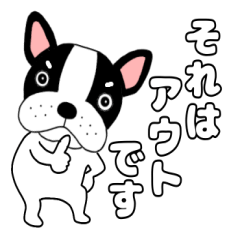 【敬語】フレンチブルドックのブルちゃん46