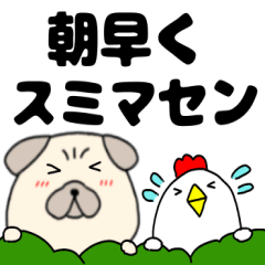 【敬語】パグ犬のぱーちゃん81