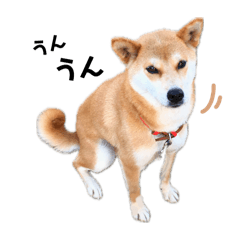 pon_20250413130730