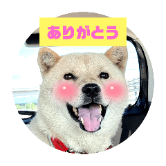 naa_20250412215016
