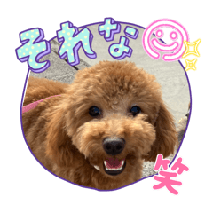 Ame-chan stamp