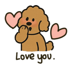 Maltipoo - Labradoodle : Brown Fluff