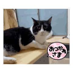 YUKIE_20250413231939
