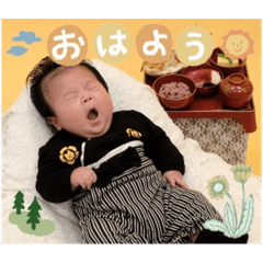 koto_20250413233842