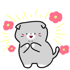 毎日かわいいねこさんズ