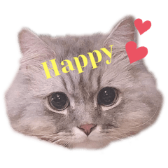 Happy_20250414061719