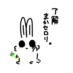 Rabbit mn