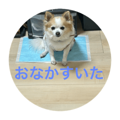happy_20250414132840