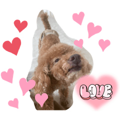 SEIRA_20250414122620