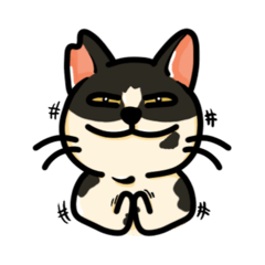 Toto_meow
