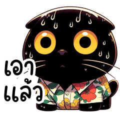 แมวดำใส่เสื้อลายดอกน่ารัก (BIG)