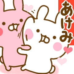 Rabbit Usahina love akemi 2