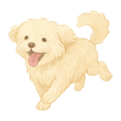 Doffy 1