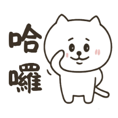 Healing White Cat Daily Life