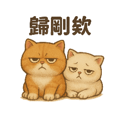 Orange & Momo's Daily Life