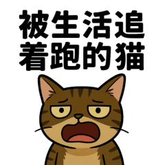 Lifeschasingmeow