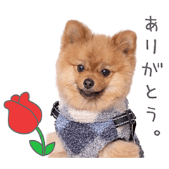 StampNo:5185