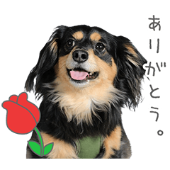 StampNo:5192