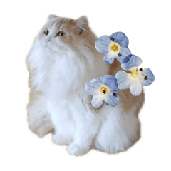 にゃんずのLINEスタンプ。