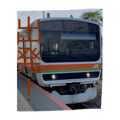 taro_20250413163556